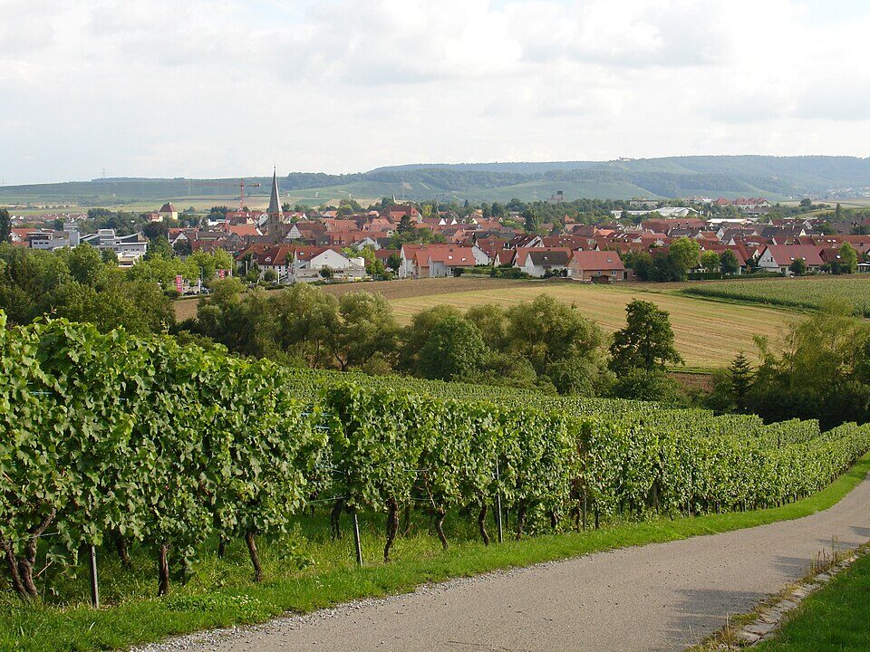 Ansicht von Brackenheim