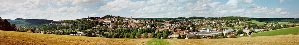D78112StGeorgen Panorama in Sankt Georgen im Schwarzwald
