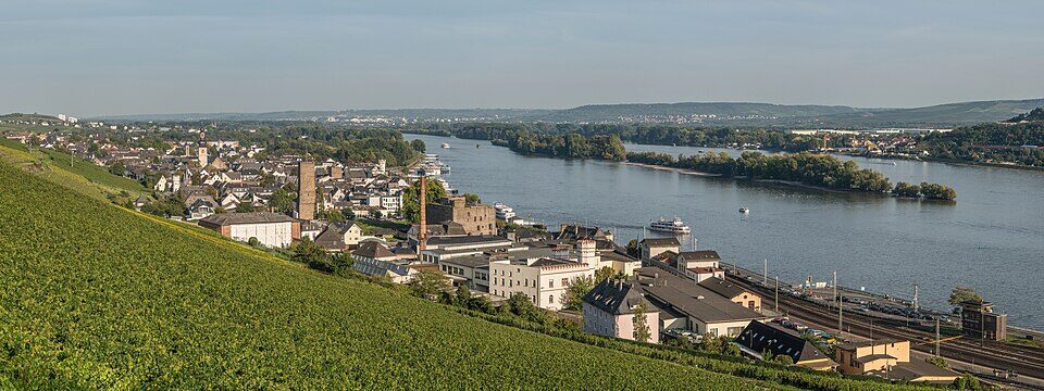 Panoramic View of Rüdesheim am Rhein