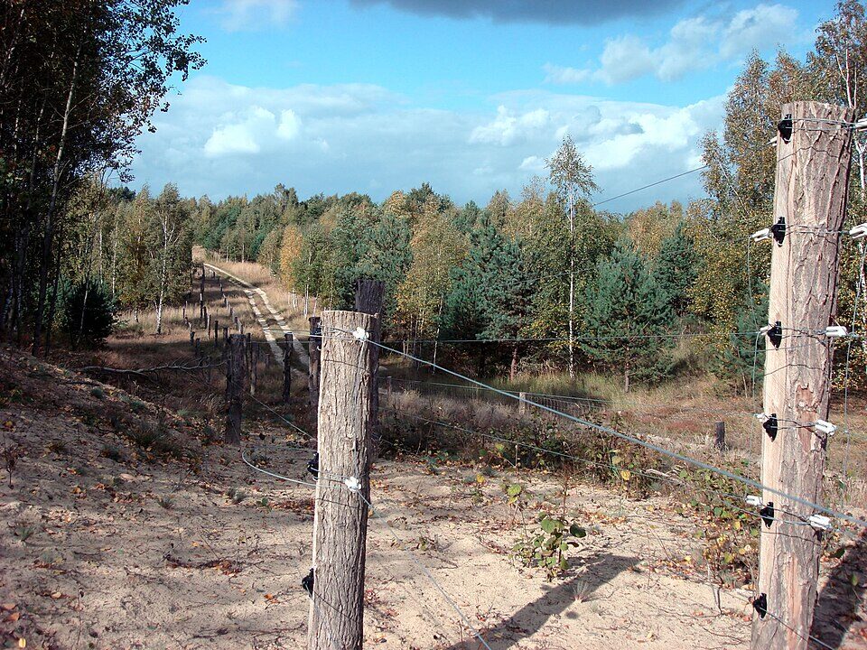 Doeberitzer heide in Dallgow-Döberitz