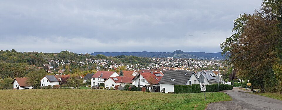 Wannweil Übersicht