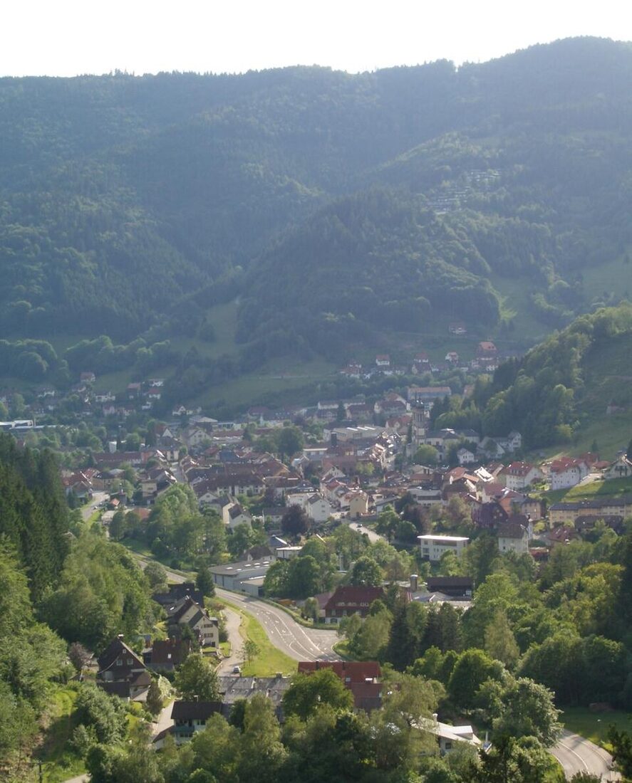 Ansicht von Todtnau