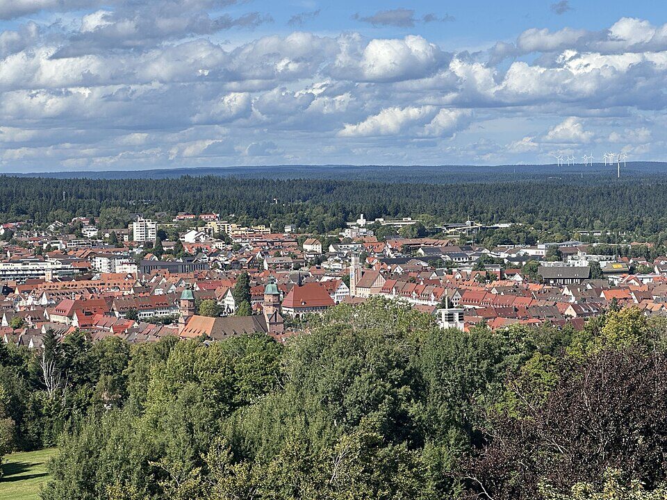 Freudenstadt vom Friedrichsturm